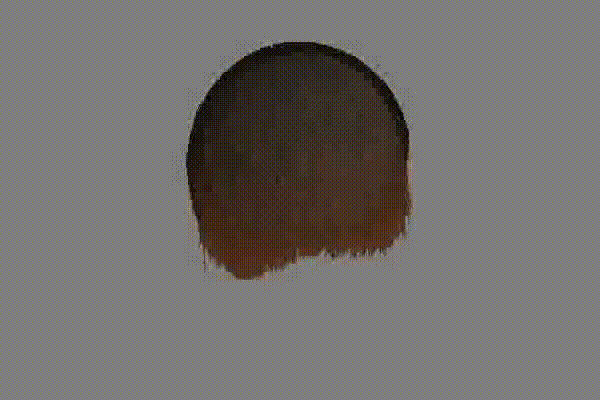 project: rotating hair ball